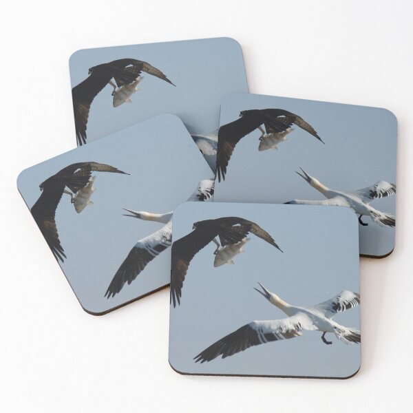 Item preview, Osprey and Gannet - Wild Bird Photography designed and sold by SavvySeller.