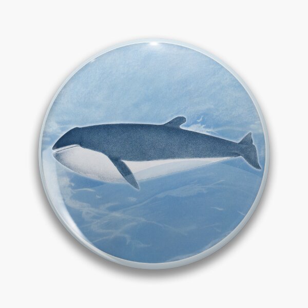Item preview, Sharped finner Whale, Vintage restored and reworked art by Mindthecherry. designed and sold by MINDTHECHERRY.