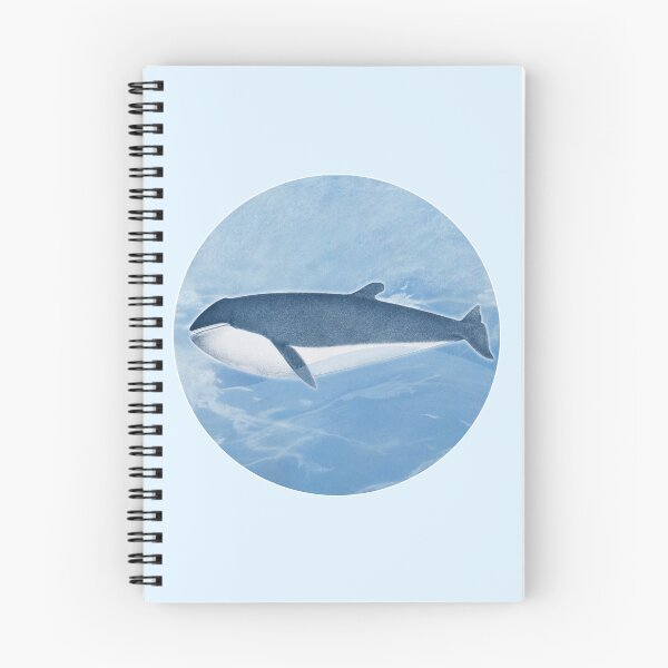 Item preview, Sharped finner Whale, Vintage restored and reworked art by Mindthecherry. designed and sold by MINDTHECHERRY.