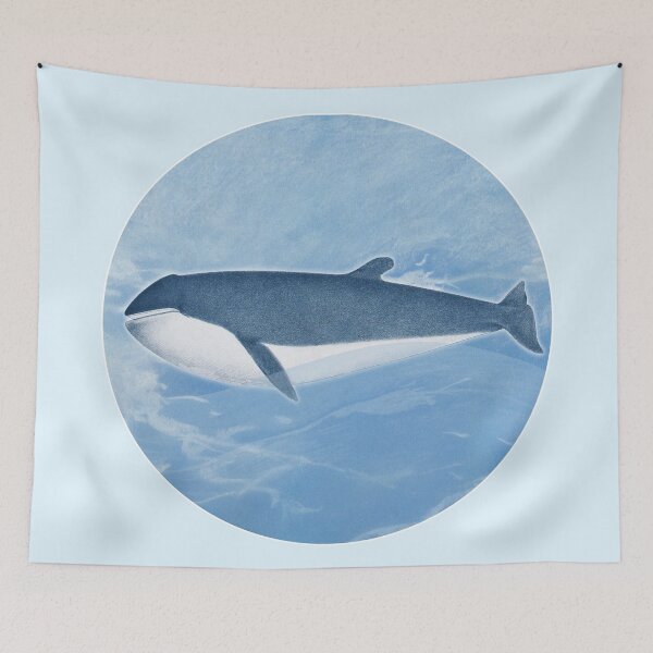 Item preview, Sharped finner Whale, Vintage restored and reworked art by Mindthecherry. designed and sold by MINDTHECHERRY.