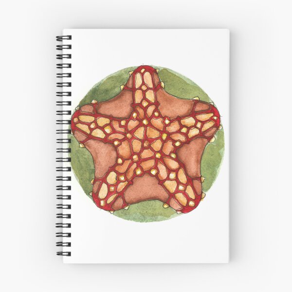 Item preview, Starfish - version 5 designed and sold by Isabel Cayer.
