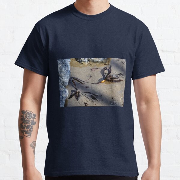 Item preview, Seaweed uncovered by the tide....  designed and sold by lynn carter.