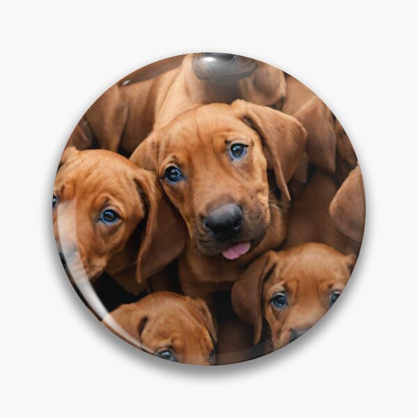 Artikelvorschau, Rhodesian Ridgeback Collage #4 entworfen und verkauft von BellaRosie Emporium.