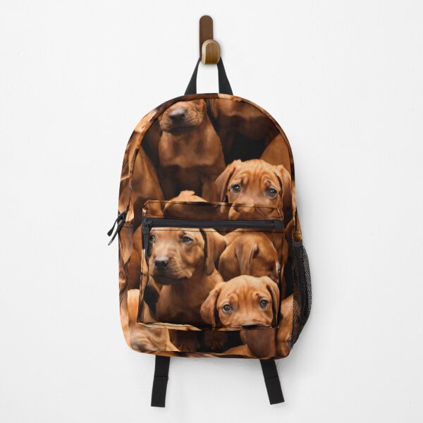 Item preview, Rhodesian Ridgeback Puppy Collage designed and sold by BellaRosie Emporium.
