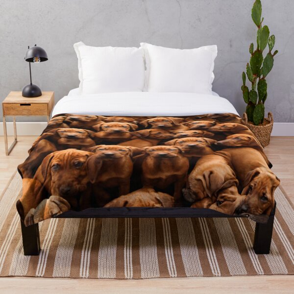 Artikelvorschau, Rhodesian Ridgeback Puppy Collage entworfen und verkauft von BellaRosie Emporium.