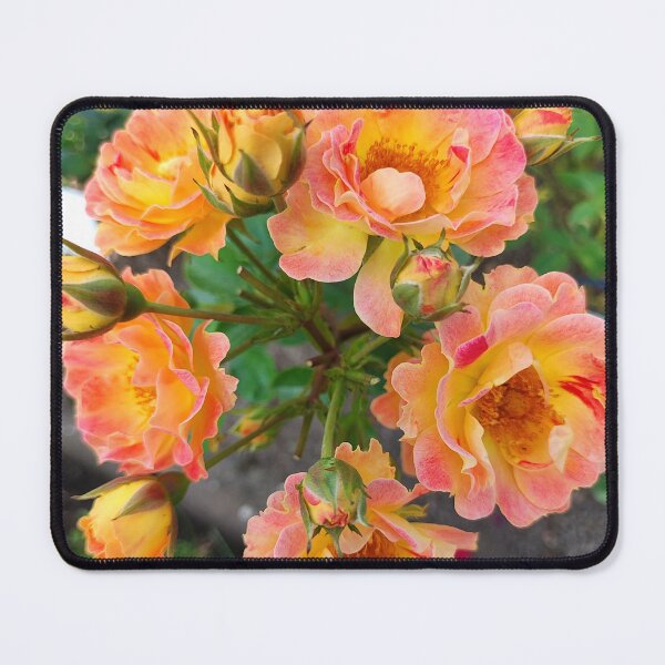 Item preview, These roses are like summer sunset designed and sold by Raigitam.