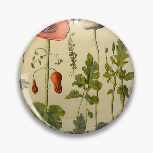 Item preview, Old Plant Drawings of Horticulture and Botany  designed and sold by BrandonArtWorld.