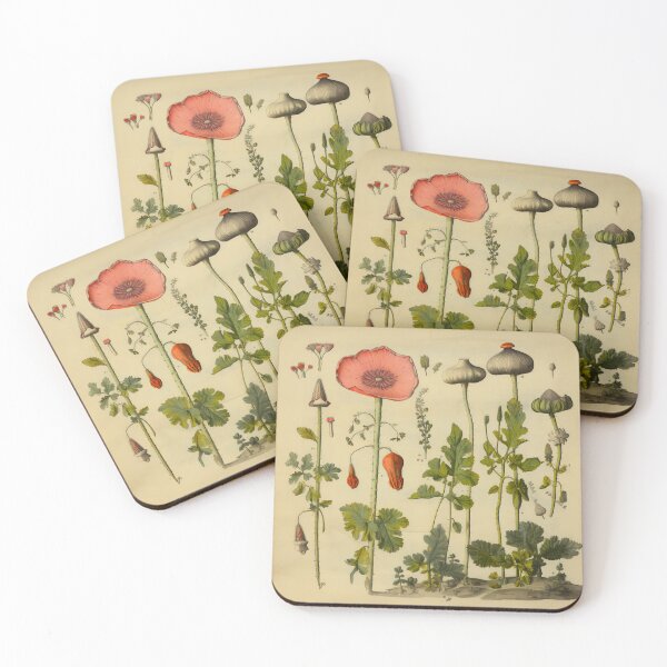 Item preview, Old Plant Drawings of Horticulture and Botany  designed and sold by BrandonArtWorld.