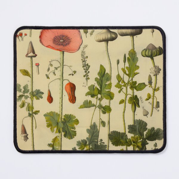 Item preview, Old Plant Drawings of Horticulture and Botany  designed and sold by BrandonArtWorld.