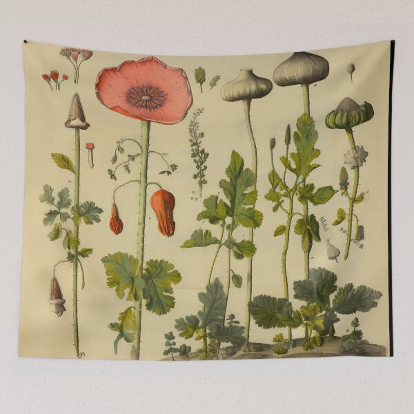 Item preview, Old Plant Drawings of Horticulture and Botany  designed and sold by BrandonArtWorld.