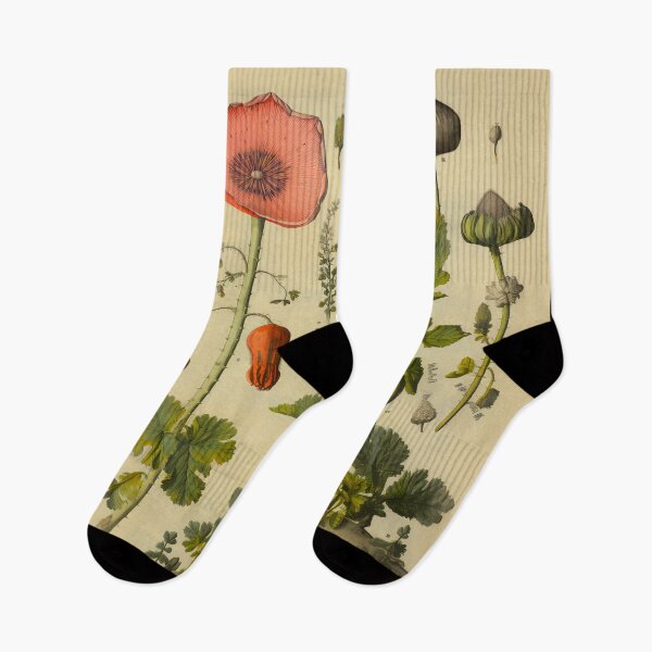 Item preview, Old Plant Drawings of Horticulture and Botany  designed and sold by BrandonArtWorld.