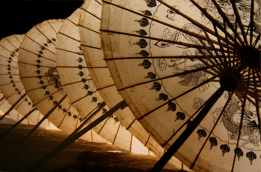 "Vietnamese Umbrella" by Thierry Barone Redbubble