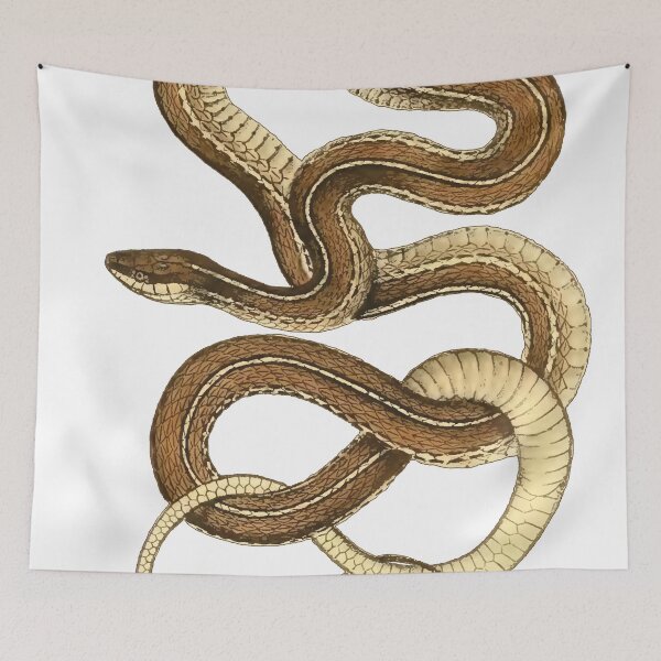 Item preview, Snake- Leptophis sauritus, ribbon snake, original designed and sold by DreamingBeetle.