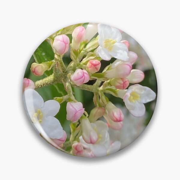 Item preview, Buds in Bloom designed and sold by EmmelineKlatt.