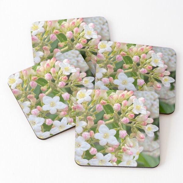 Item preview, Buds in Bloom designed and sold by EmmelineKlatt.