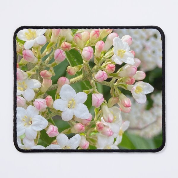 Item preview, Buds in Bloom designed and sold by EmmelineKlatt.
