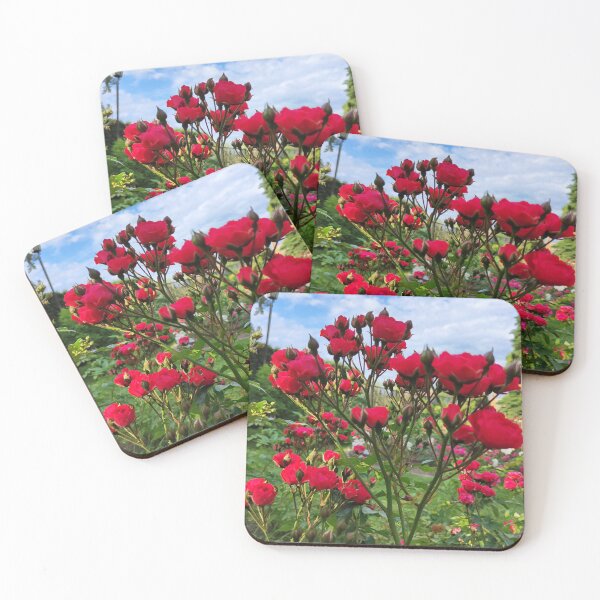 Item preview, The mesmerizing beauty of cluster roses designed and sold by Raigitam.