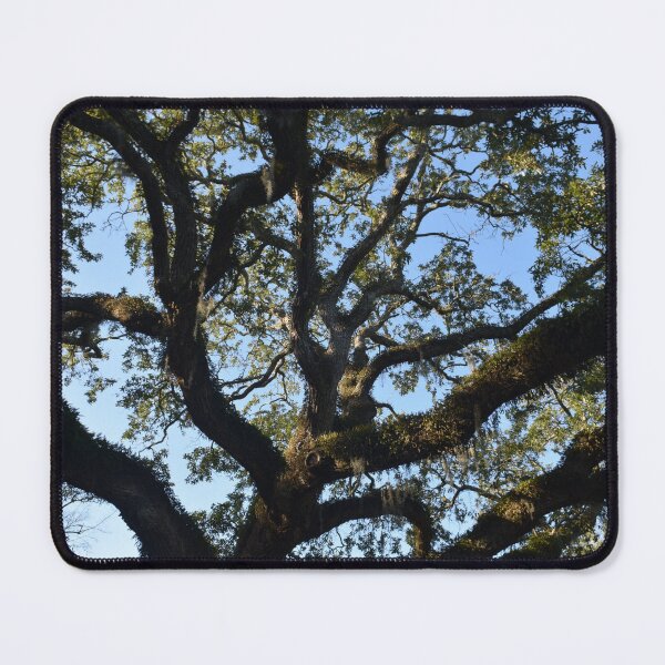 Item preview, A Damn Cool Tree designed and sold by Rusty Gentry.