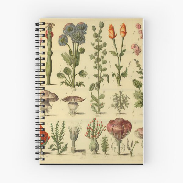 Item preview, Old Plant Drawings of Horticulture and Botany  designed and sold by BrandonArtWorld.