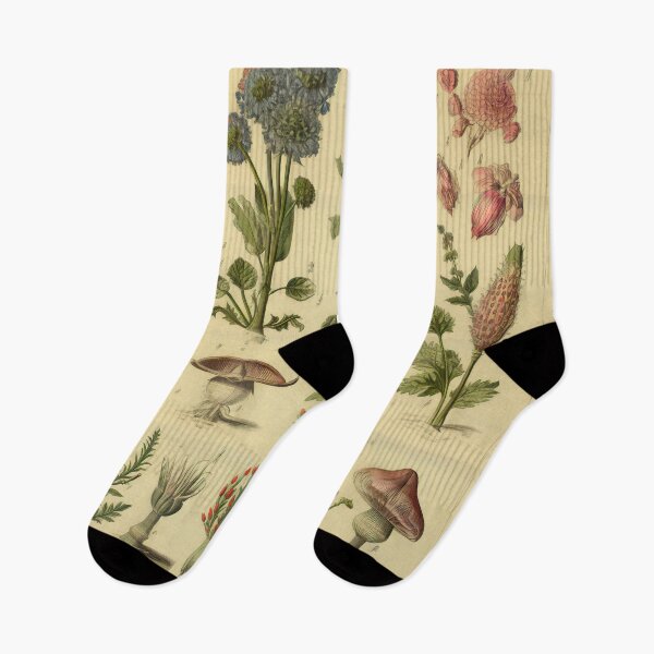 Item preview, Old Plant Drawings of Horticulture and Botany  designed and sold by BrandonArtWorld.