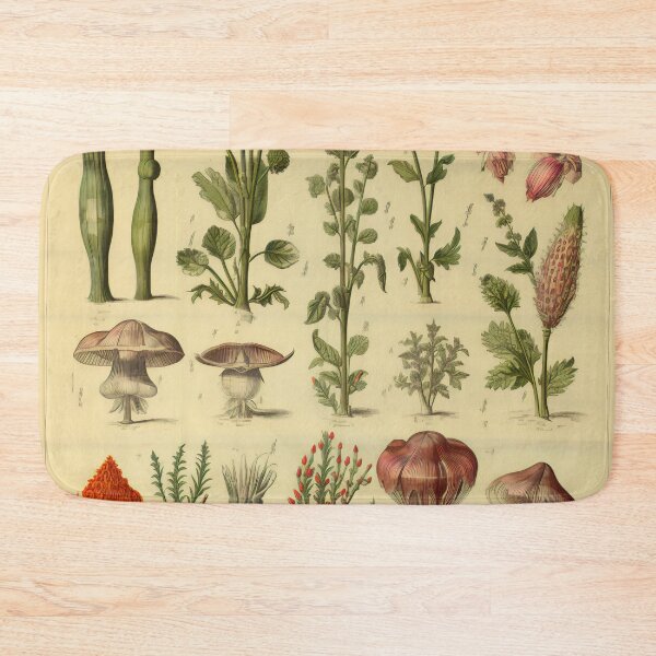 Item preview, Old Plant Drawings of Horticulture and Botany  designed and sold by BrandonArtWorld.