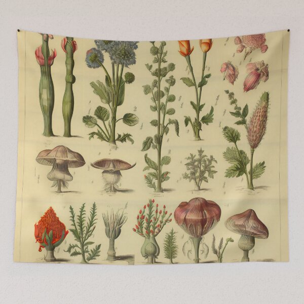 Item preview, Old Plant Drawings of Horticulture and Botany  designed and sold by BrandonArtWorld.