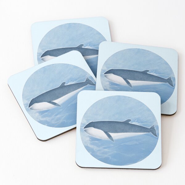 Item preview, Sharped finner Whale, Vintage restored and reworked art by Mindthecherry. designed and sold by MINDTHECHERRY.
