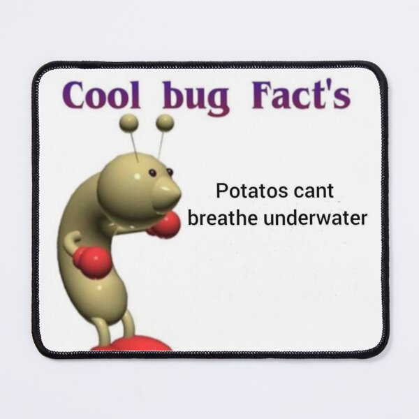 Item preview, Cool Bug's Facts meme designed and sold by Darcey Middleton.