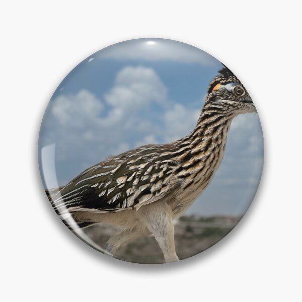 Item preview, Road Runner designed and sold by MelvinStone.