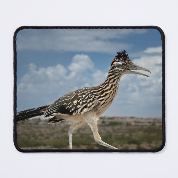 Item preview, Road Runner designed and sold by MelvinStone.