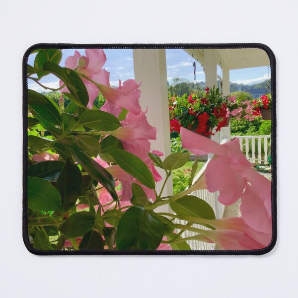 Item preview, Kathleens Lovely Porch in Middletown designed and sold by Jack McCabe.