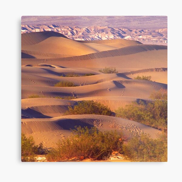 Item preview, Breathtaking Layers Of Sand Dunes - Death Valley, California  designed and sold by DEC02.