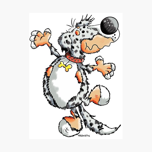 australian shepherd dancing