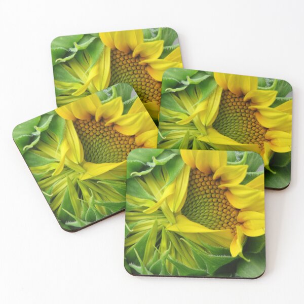 Item preview, Progression of a Sunflower opening designed and sold by Monica-Stroud.