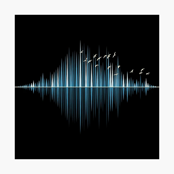 Nature's Music - Sound Wave