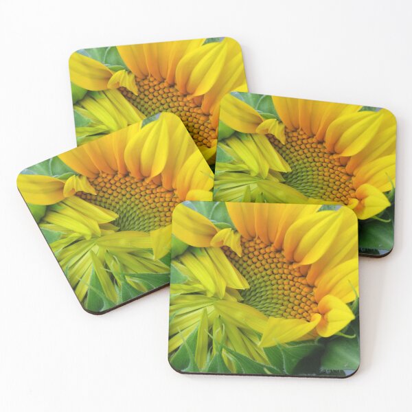Item preview, Stage of Sunflower opening designed and sold by Monica-Stroud.