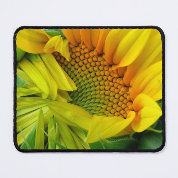 Item preview, Stage of Sunflower opening designed and sold by Monica-Stroud.