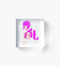 Model Acrylic Block