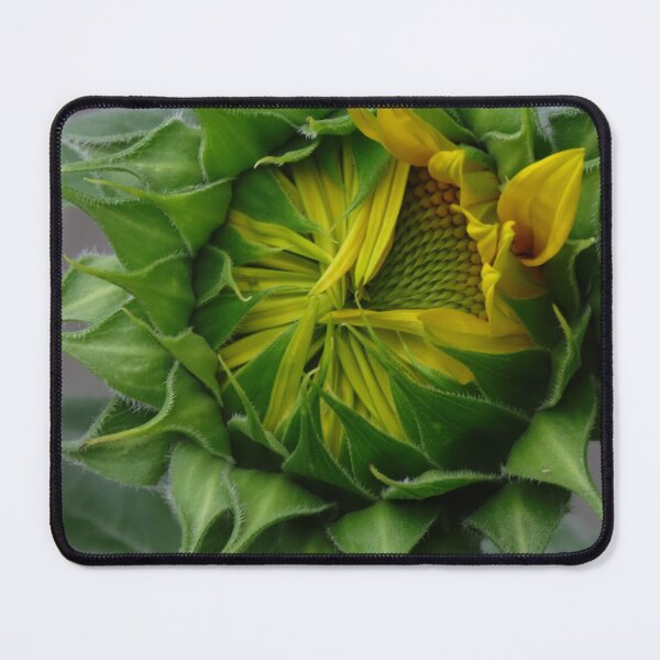 Item preview, JUST PEEKING THROUGH designed and sold by Monica-Stroud.