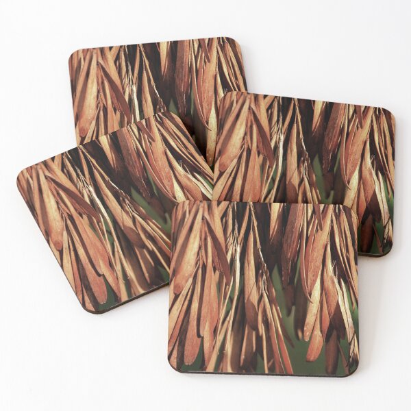 Item preview, Seeds of Ash  designed and sold by photoclique.