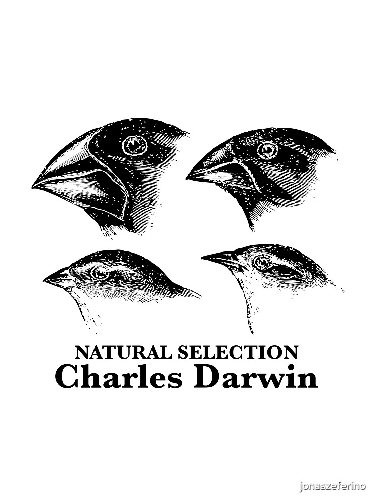 Tarjetas de felicitación «Charles Darwin - Selección natural» de  jonaszeferino | Redbubble