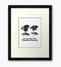Charles Darwin - Natural Selection Framed Print