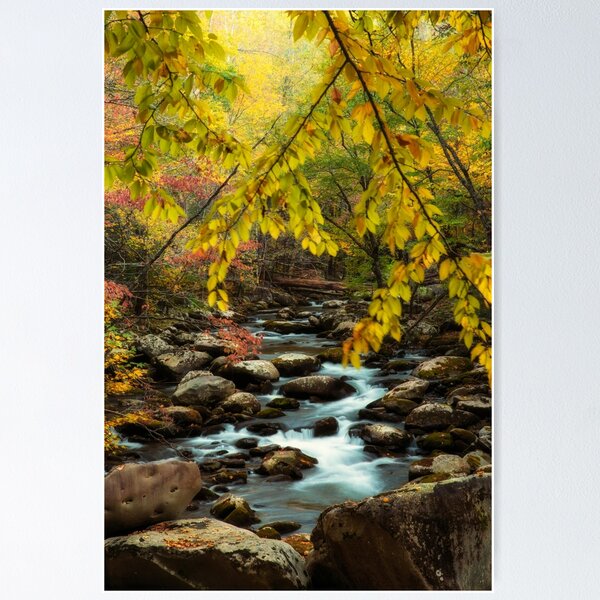 Item preview, Beautiful Autumn Day at the Stream designed and sold by KellyHeaton.