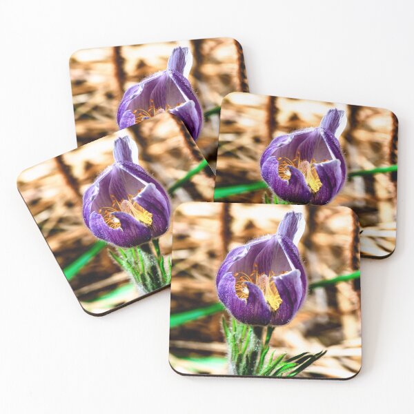 Item preview, Crocus designed and sold by InkinZ.