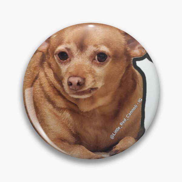 Item preview, You're Really Gonna Wear THAT? designed and sold by LilRedCannoli.