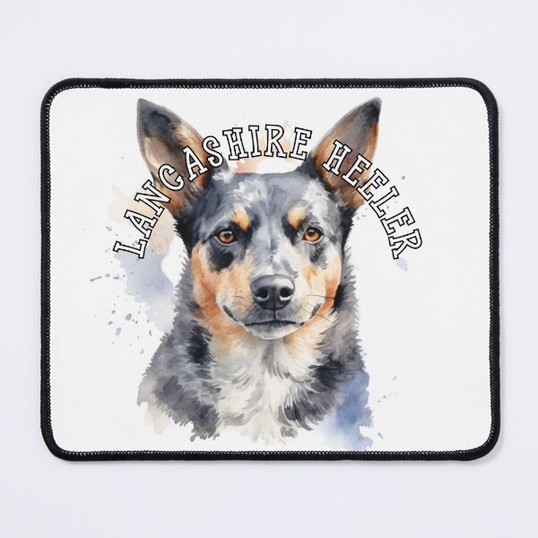 Artikelvorschau, lancashire heeler entworfen und verkauft von Tee Studio.