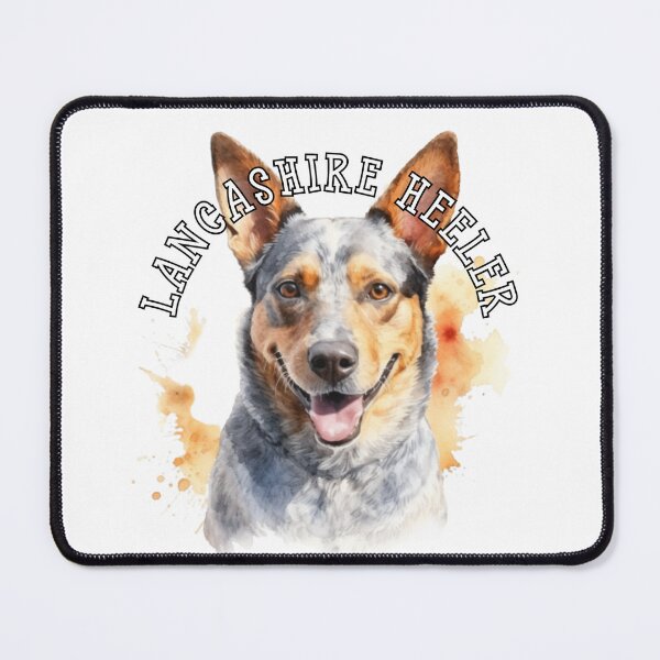 Item preview, lancashire heeler designed and sold by Tee Studio.