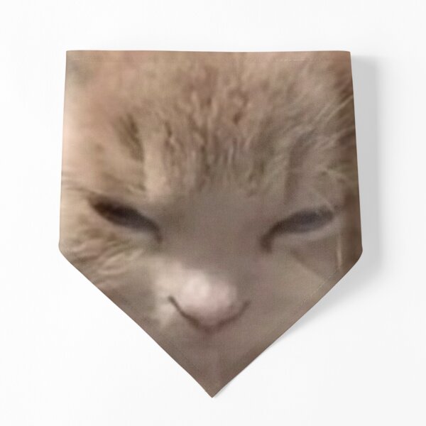 Silly BLEHHHHH :P Cat Meme PFP Profile Picture