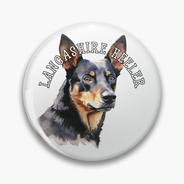 Item preview, lancashire heeler designed and sold by Tee Studio.