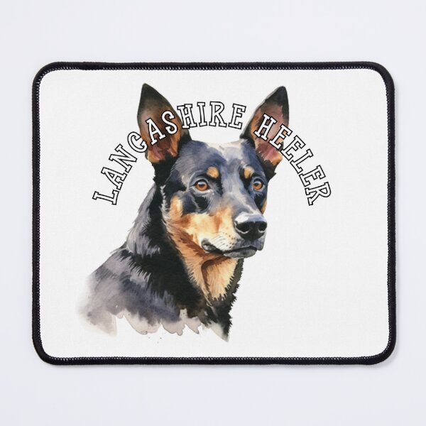 Item preview, lancashire heeler designed and sold by Tee Studio.